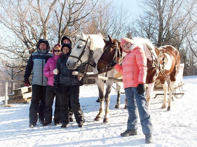 Территория Карпатские Полонины 3*