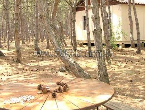 Апартаменты Магарач база отдыха