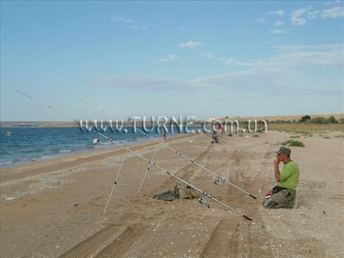 Вид Альбатрос пансионат