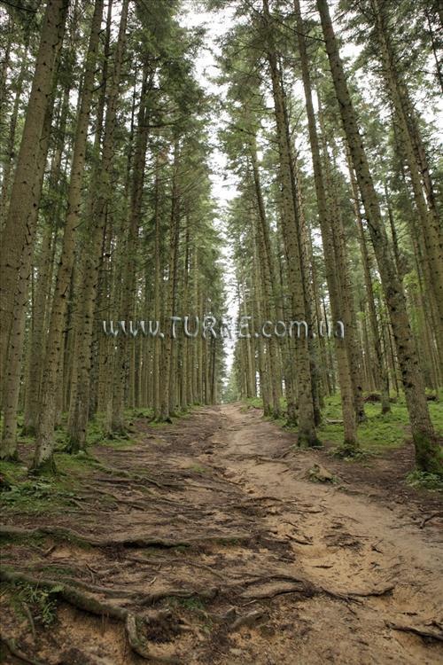 Вид Santa-Maria 4*