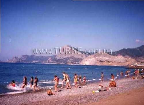 Вид Чайка детский оздоровительный комплекс