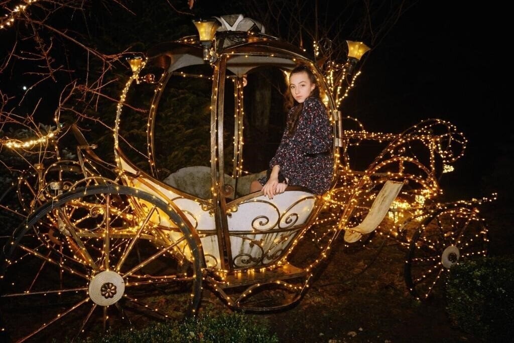 Апартаменти Камелот 3*