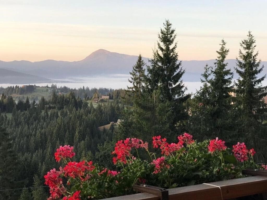 Вид Gogodz Chalet Resort (ex. Gogodz Chatel Resort) 3*