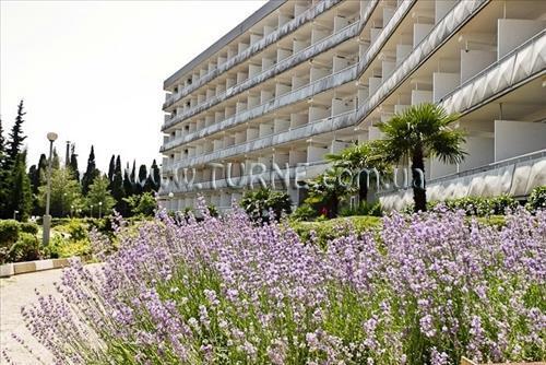 Панорама Санаторий Им. Кирова санаторий