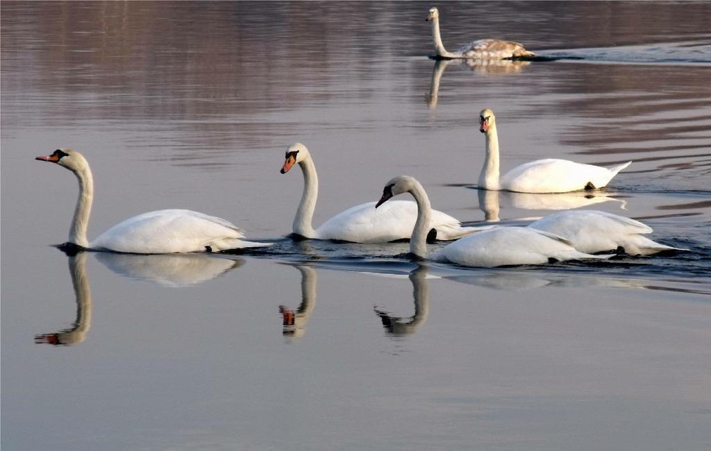 Территория Aquamarina Hotel 3*