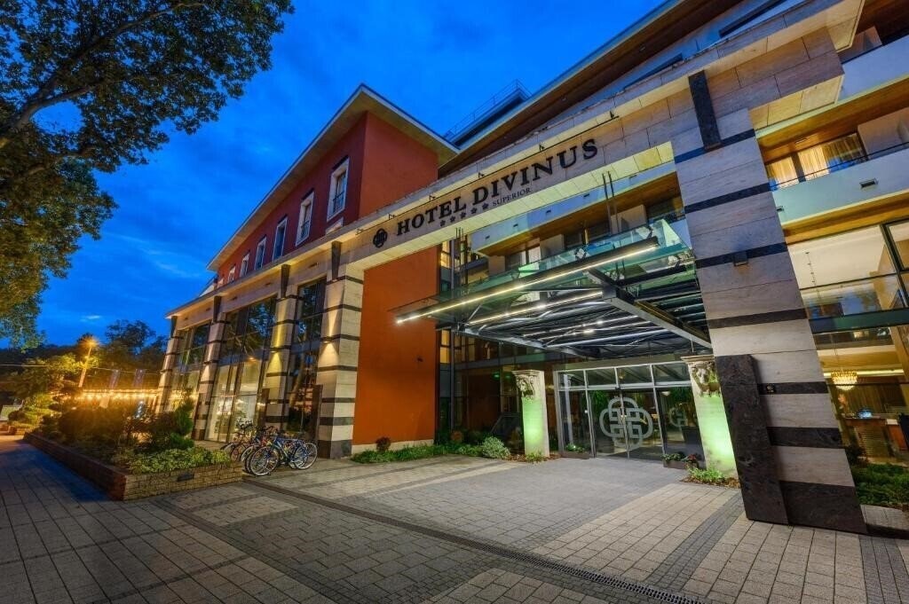 Картинка Divinus 4*