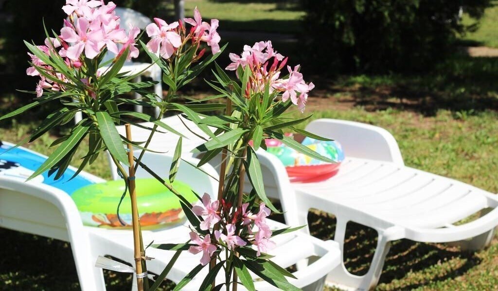 Панорама Hunguest Hotel Hoforras 3*