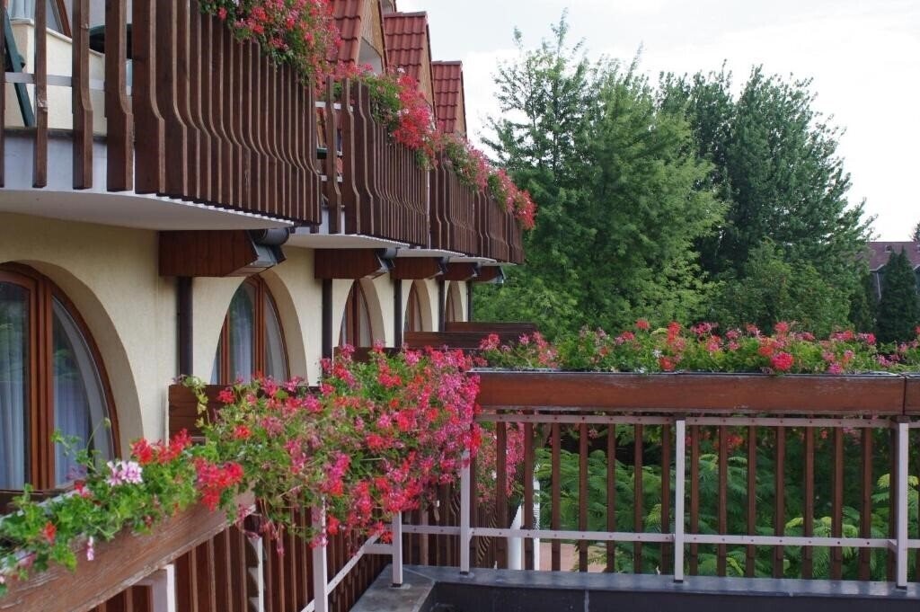Зображення Agnes Hotel 3*