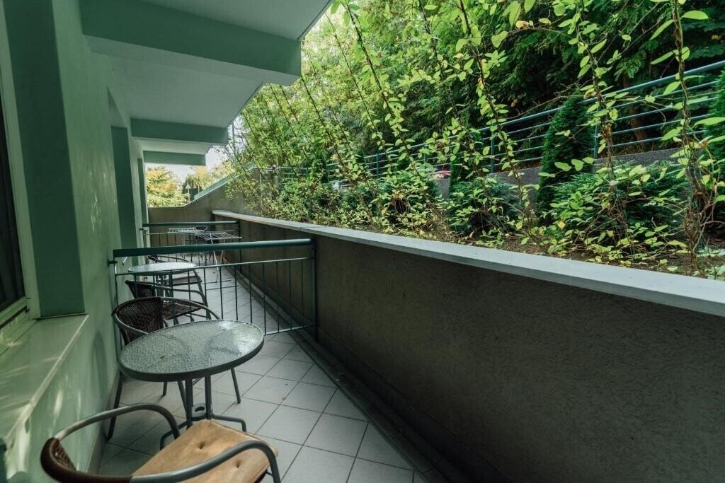 Вид Hotel Spa Heviz (ex. Spa Heviz) 4*