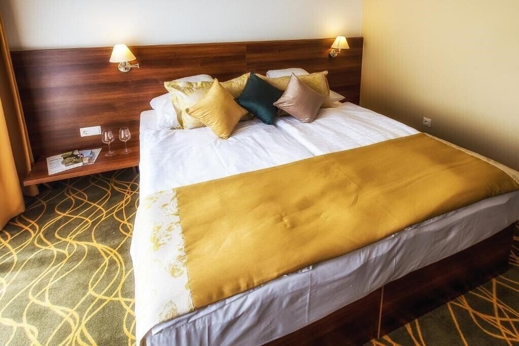 Панорама Bonvital Wellness And Gastro Hotel 4*