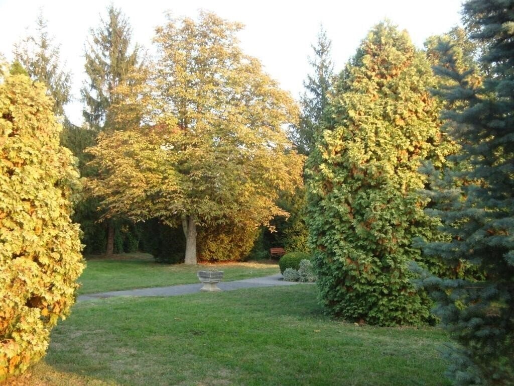 Территория Napsugar Hotel 3*