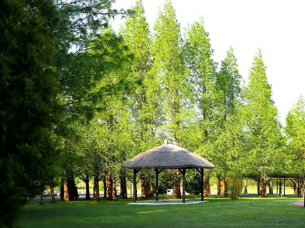 Територія Lotus Therme Hotel & SPA 5*