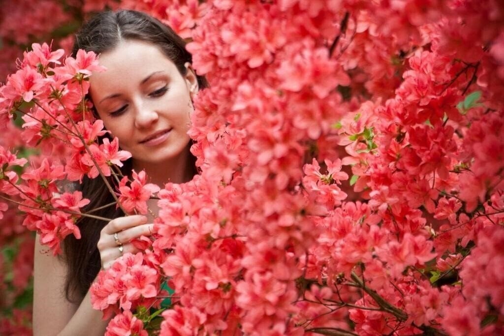 Панорама Danubius Health SPA Resort Sarvar 4*