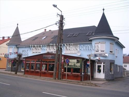 Вид Wolf Panzio 3*