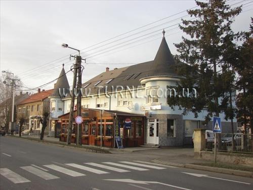 Картинка Wolf Panzio 3*