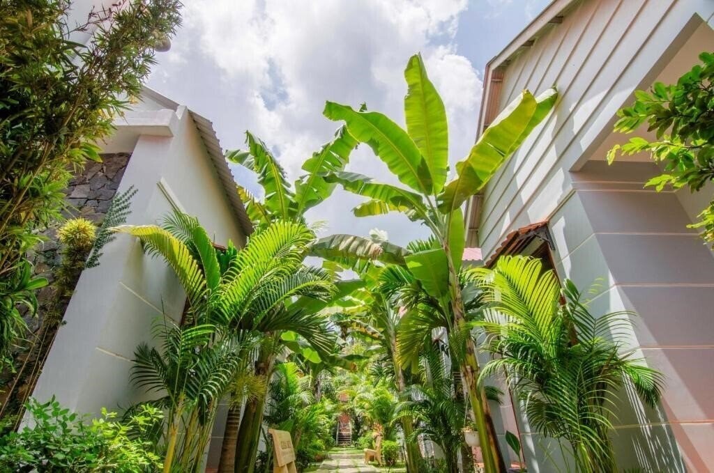 Панорама Dong Xuan Hong 2*