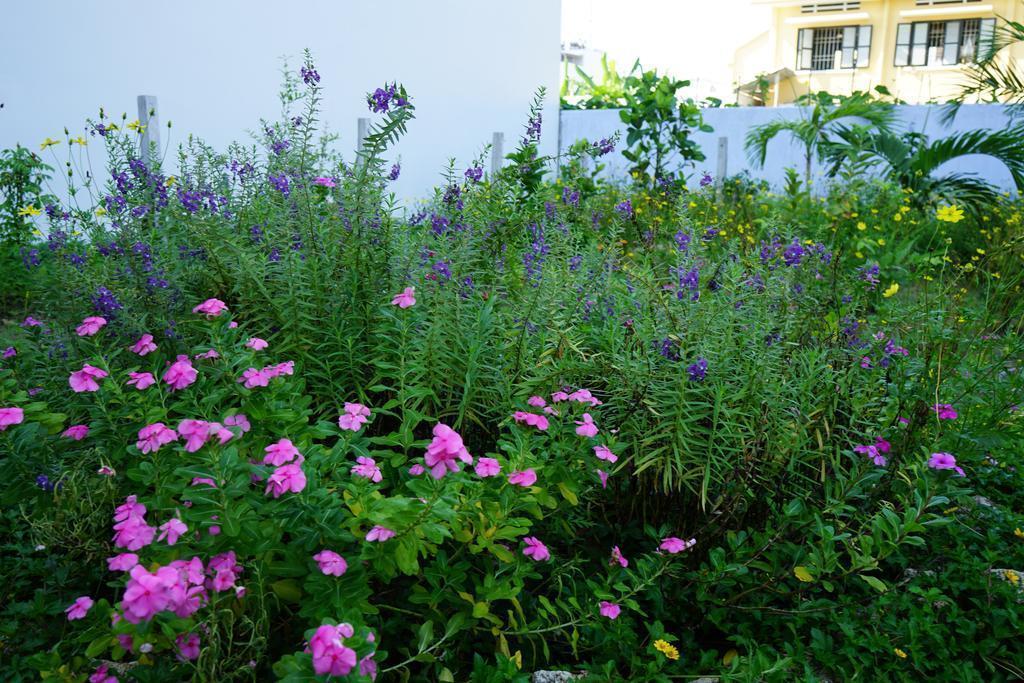 Панорама Seasing Boutique Hotel 3*