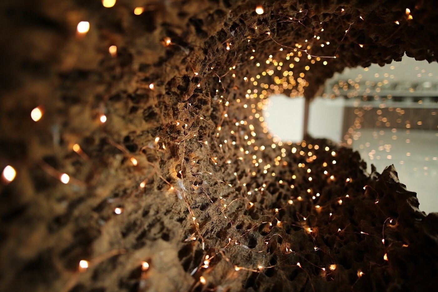 Вид The Nha Trang Business Hotel 3*