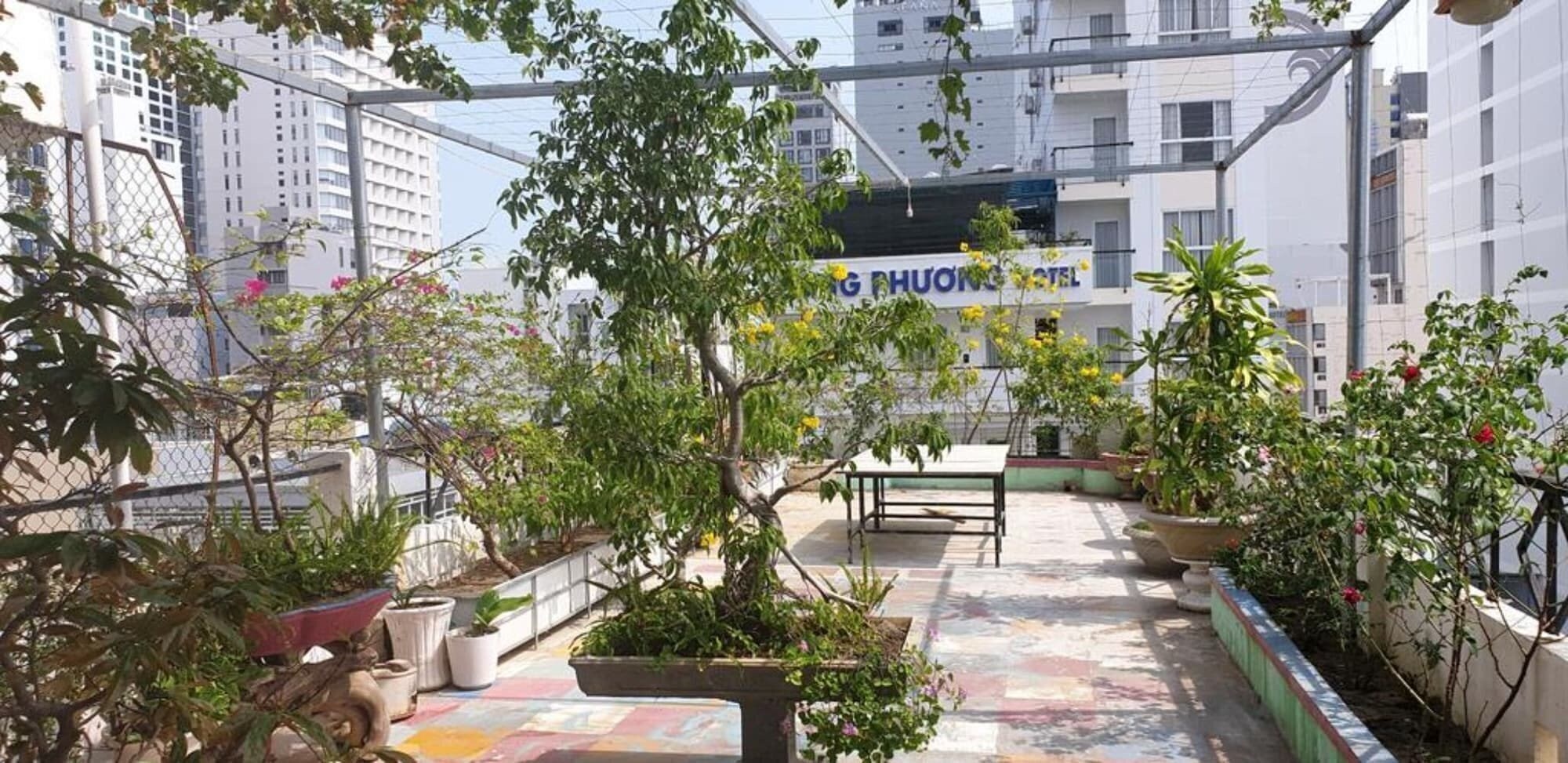 Фото Ximao Hotel Nha Trang by Zuzu 3*