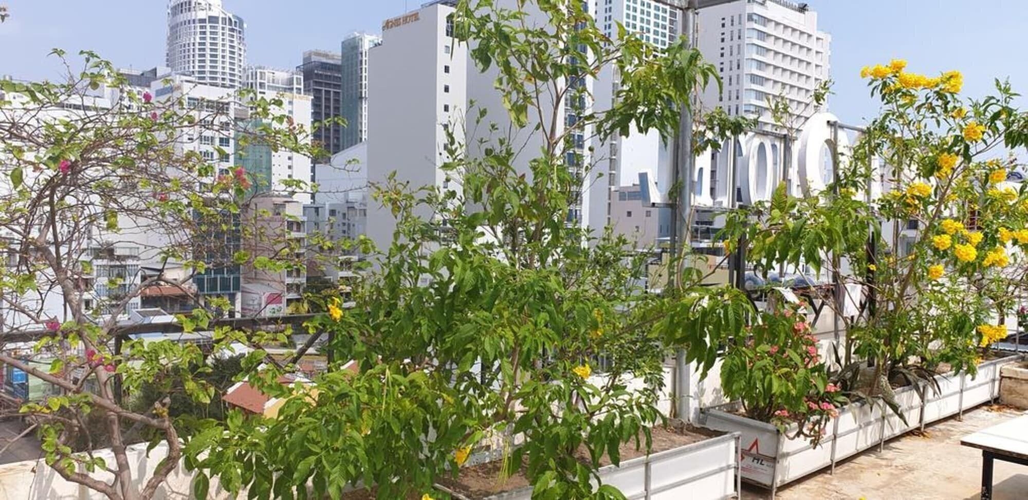 Готель Ximao Hotel Nha Trang by Zuzu 3*