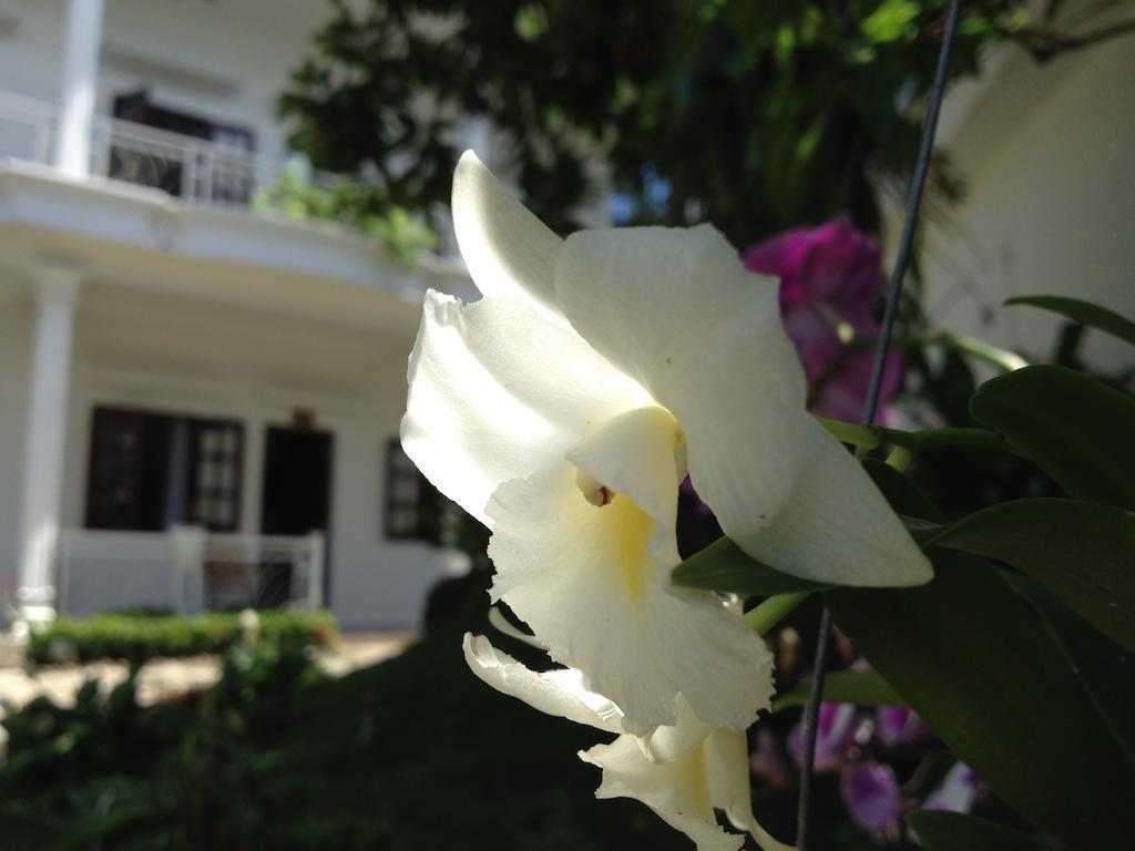 Вид La Vita Resort Phu Quoc (ex. Lavita Phu Quoc, La Vita Resort) 3*